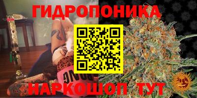 ГАЛЛЮЦИНОГЕННЫЕ ГРИБЫ Рузаевка